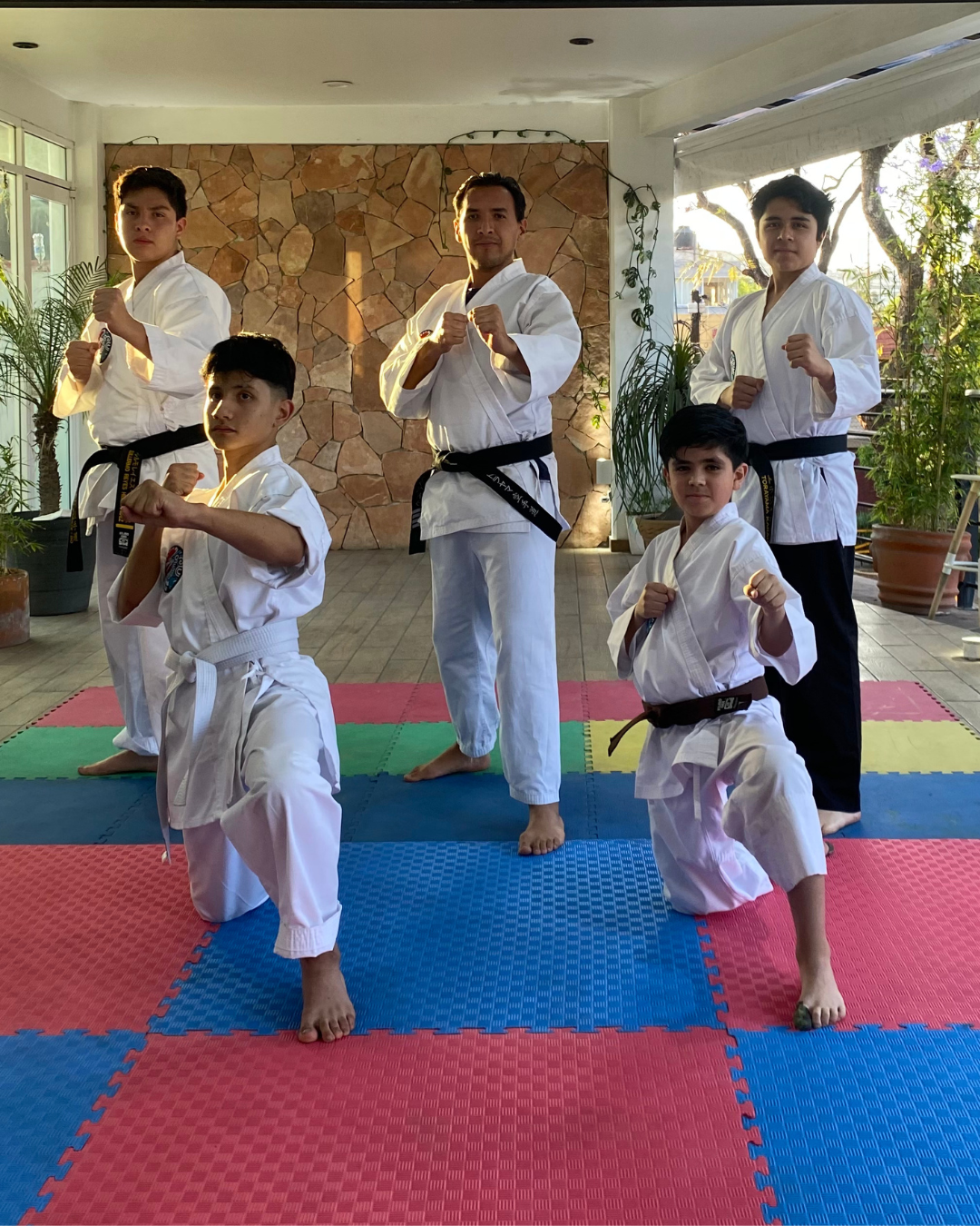 karate-do-sato-kai-galeria