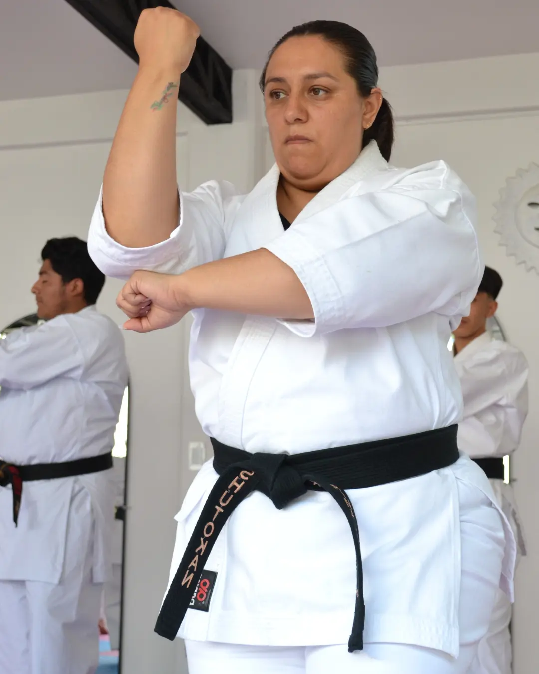 karate-do-sato-kai-galeria