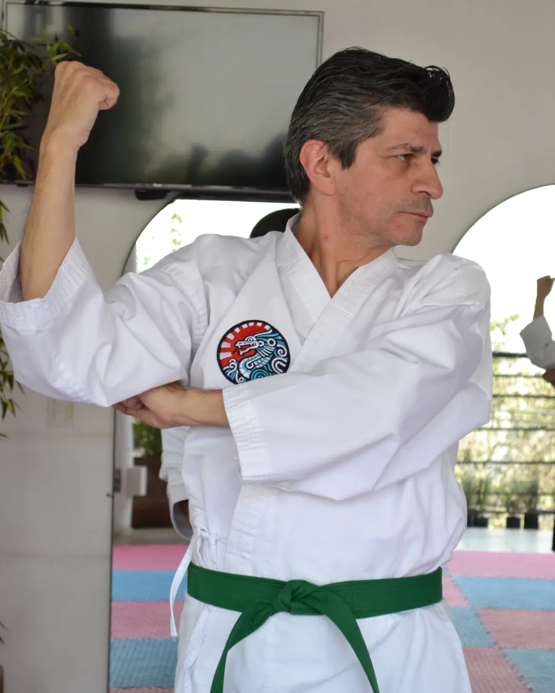 karate-do-sato-kai-galeria