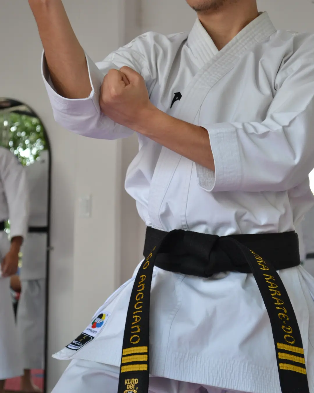 karate-do-sato-kai-galeria