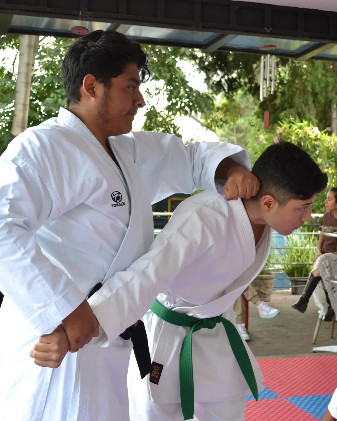 karate-do-sato-kai-galeria
