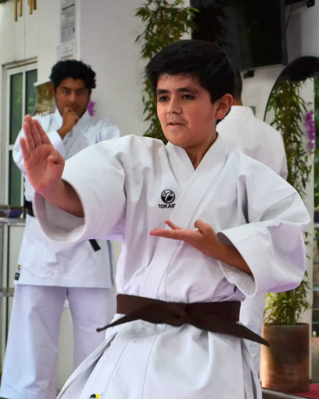 karate-do-sato-kai-galeria