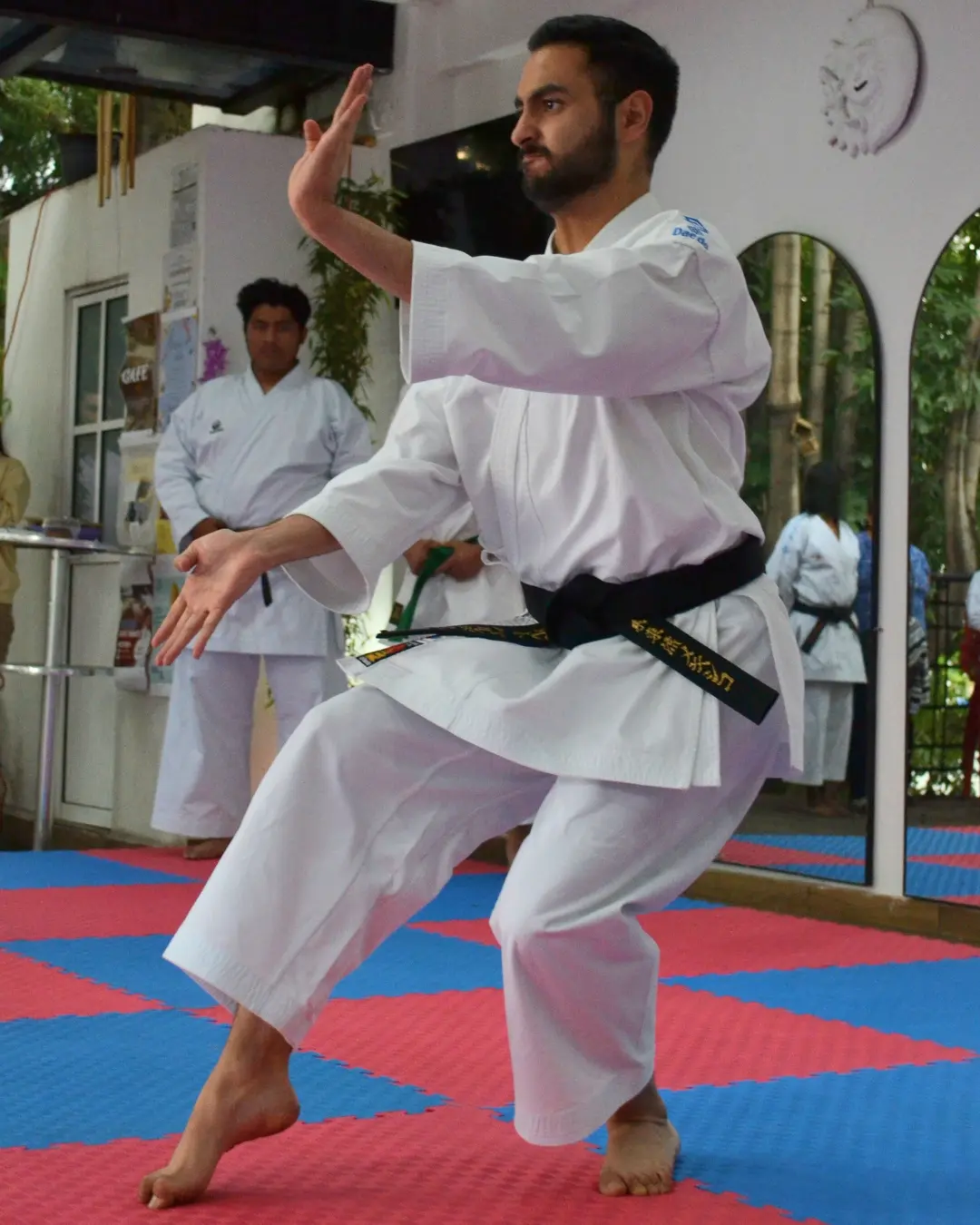 karate-do-sato-kai-galeria