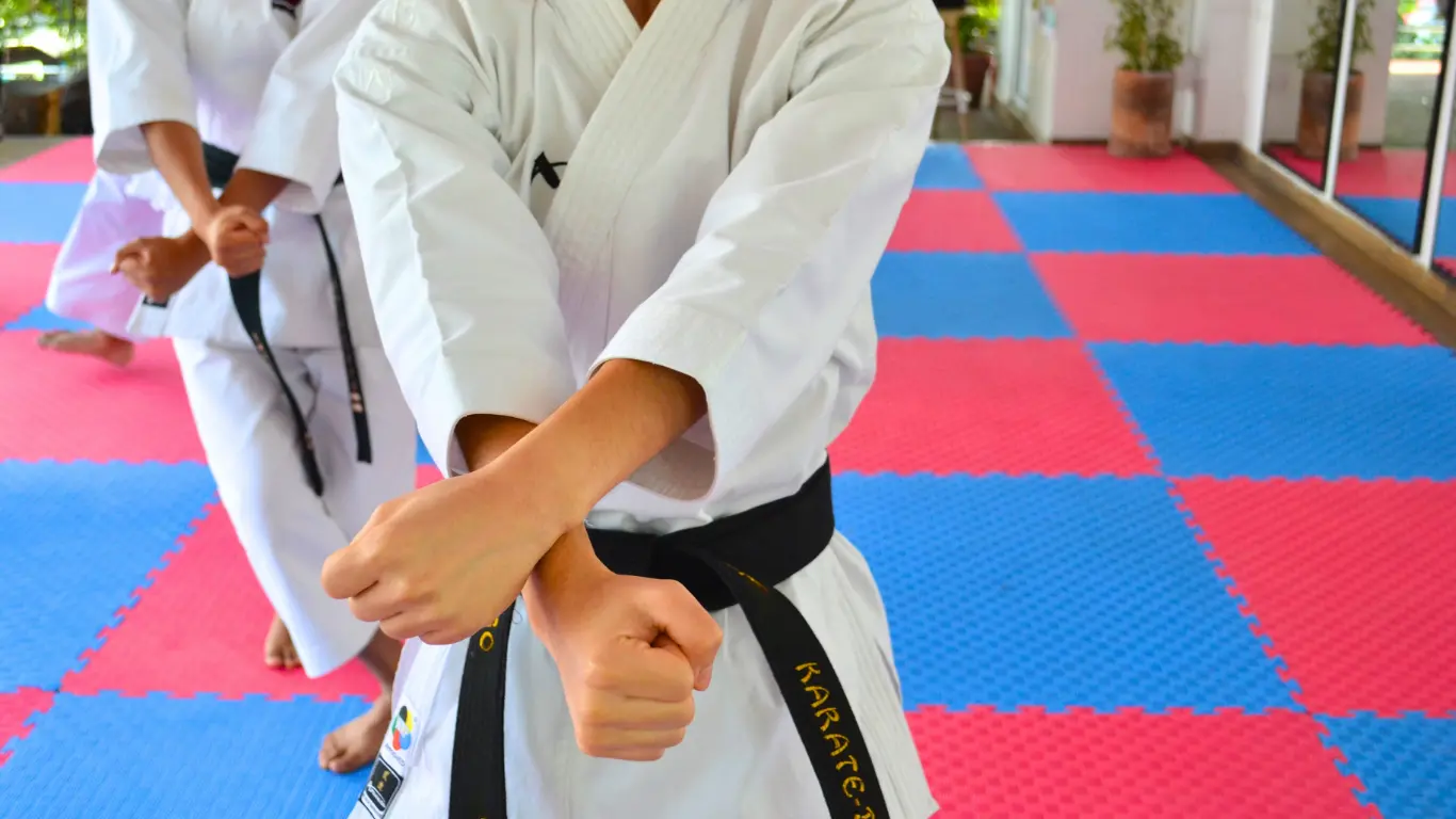 karate-sato-kai